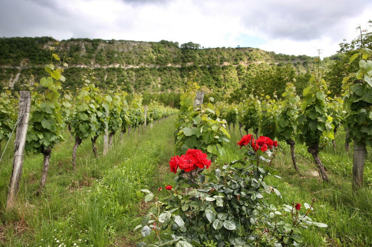 Bed and Breakfast Sas Domaine Delmas Parnac  Exterior foto